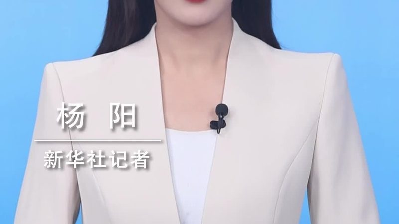 数据治理平台：揭秘十大品牌背后的技术奥秘